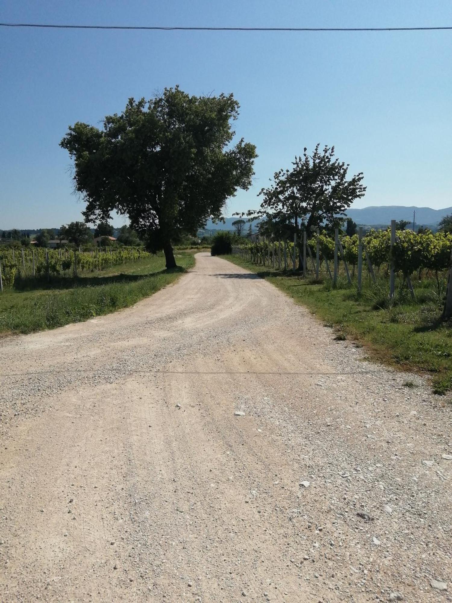L'antico Fienile
